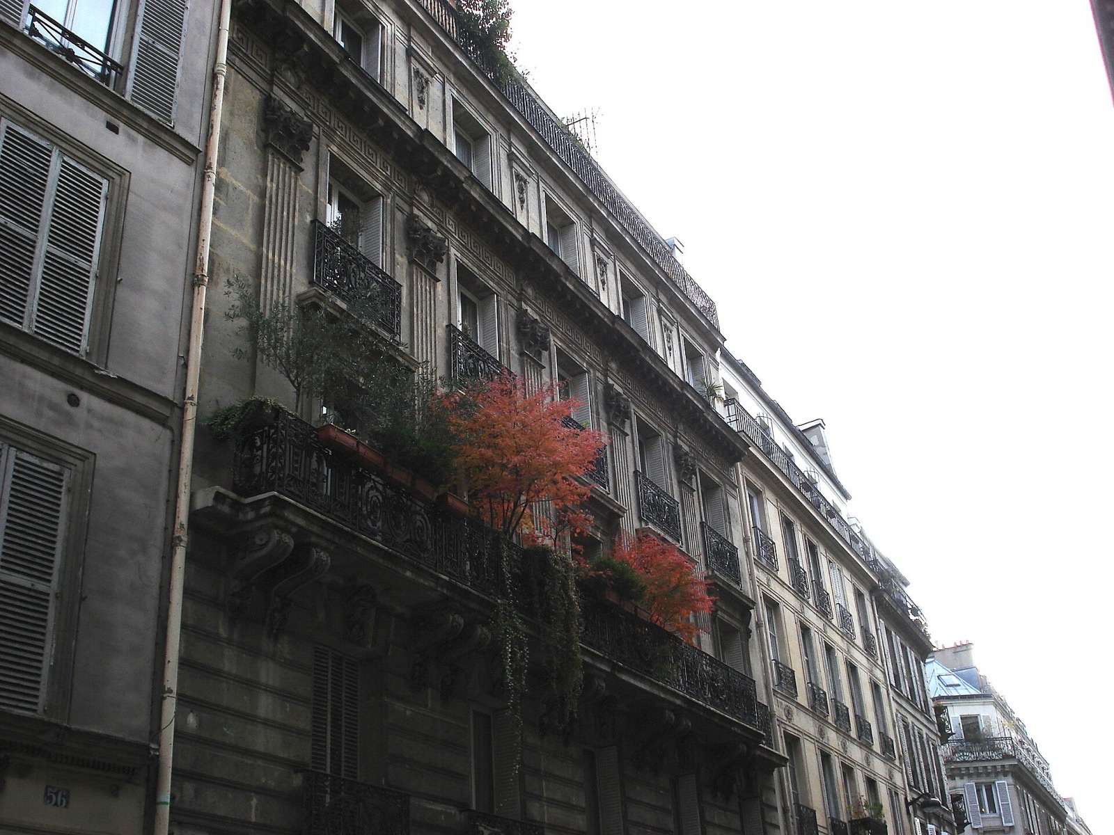 Façade haussmannienne parisienne, balcons en fer forgé